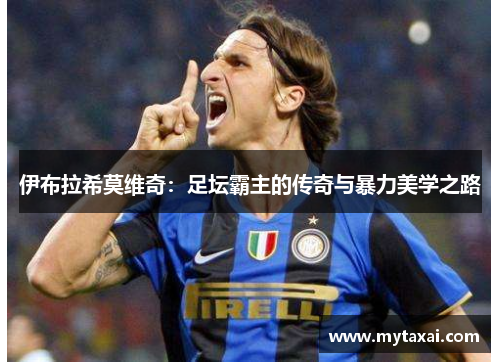 伊布拉希莫维奇：足坛霸主的传奇与暴力美学之路